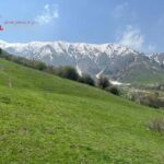 Amirsoy, Chimgan & Charvak Tour from Tashkent - Why This Tour Offers Great Value