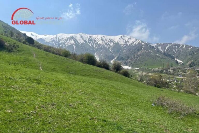 Amirsoy, Chimgan & Charvak Tour from Tashkent - Why This Tour Offers Great Value