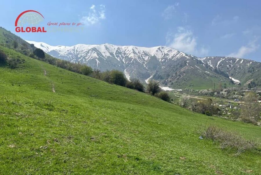 Amirsoy, Chimgan & Charvak Tour from Tashkent - Why This Tour Offers Great Value