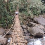 Anakulam Wild elephant Visiting & Tribal village 4*4 Ride - The Practicalities: Whats Included & Whats Not