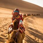 Ancient Silk Road in Gansu: Highlights Tour & Desert Feast - Practicalities and Personal Experience