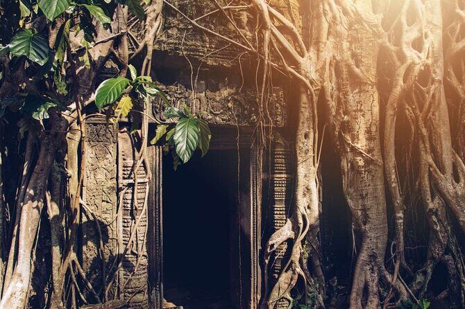 Angkor Thom Ta Prohm and Sunset in Angkor Wat Golden Hour Tour - Authentic Experiences and Traveler Feedback