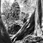 Angkor Wat & Banteay Srei 1-Day Tour - Authentic Insights from Travelers