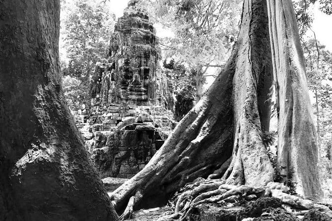 Angkor Wat & Banteay Srei 1-Day Tour - Authentic Insights from Travelers