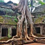 Angkor Wat Sunrise With Tours Experience Driver - Who Should Book This Tour?