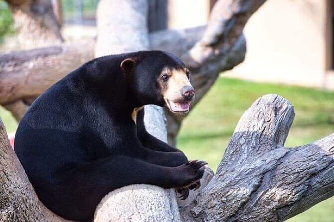 Angkor Wildlife & Aquarium Halfday tour - Why It’s Worth Considering