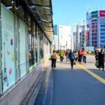 Anime and Manga Tour with a Local Guide in Tokyo - What You’ll See and Experience