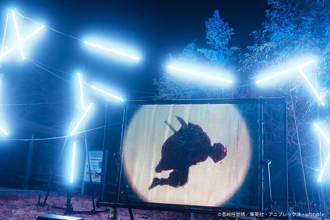 Anime Demon Slayer Night Walk Ticket - Who Should Consider This Experience?