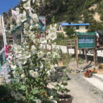 Annapurna Circuit Trek in Nepal (9 Days) - Why Choose This Trek?