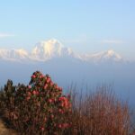 Annapurna Poon Hill Trekking - 4 Days from Pokhara - Pricing and Value