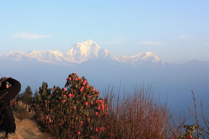 Annapurna Poon Hill Trekking - 4 Days from Pokhara - Pricing and Value