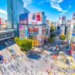 Anywhere you Like Tokyo Customized Tour in 5 hours - What to Expect at the Selected Spots?