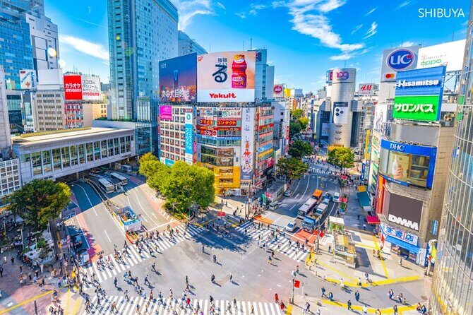 Anywhere you Like Tokyo Customized Tour in 5 hours - What to Expect at the Selected Spots?