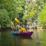 Ao Thalane Kayaking Mangrove Forests Adventure from Krabi - What You Can Expect from This Kayaking Adventure