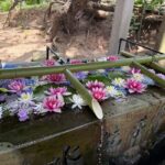 Aomori: Takayama Inari Shrine and Jomon Museum Tour - Exploring Japan’s Ancient Roots at the Jomon Museum