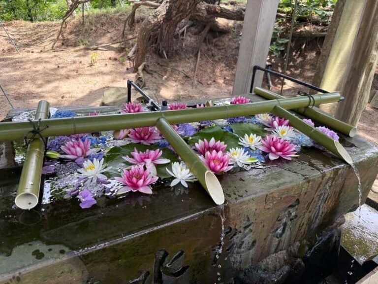 Aomori: Takayama Inari Shrine and Jomon Museum Tour - Exploring Japan’s Ancient Roots at the Jomon Museum