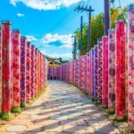 Arashiyama Autumn Leaves & Sanzen-in Temple Tour from Osaka/kyoto - Who Will Love This Tour?