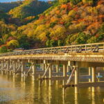 Arashiyama Bamboo & "Must See" Gardens with an Amazing Guide - Final Thoughts