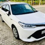 Arugam Bay To Colombo / Colombo Airport Private Transport - Who Should Consider This Transfer?