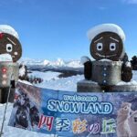 Asahiyama Zoo, Biei tree, Shirohige Falls and Blue Pond Day Tour - Who Will Love This Tour?