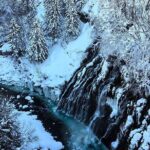 Asahiyama Zoo, Biei tree, Shirohige Falls and Blue Pond Day Tour - Who Will Love This Tour?