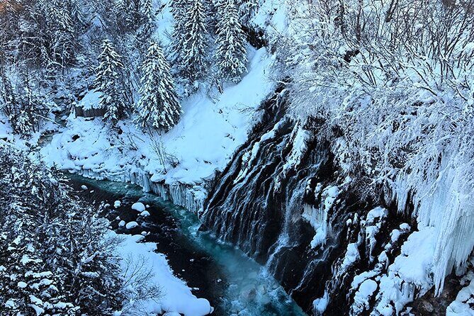 Asahiyama Zoo, Biei tree, Shirohige Falls and Blue Pond Day Tour - Who Will Love This Tour?