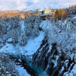 Asahiyama Zoo, Christmas Tree, Fairy Terrace Day Tour | Hokkaido - What Travelers Will Experience