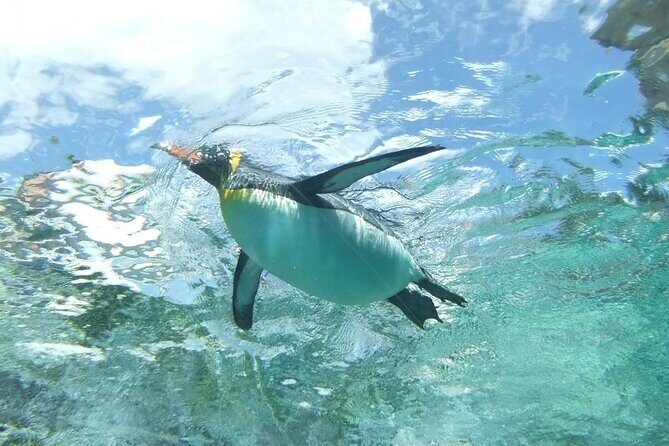 Asahiyama Zoo One-Day Tour - Who Should Consider This Tour?