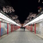 Asakusa Night Evening Walking Tour with English-Speaking Guide - Practical Details and What to Expect