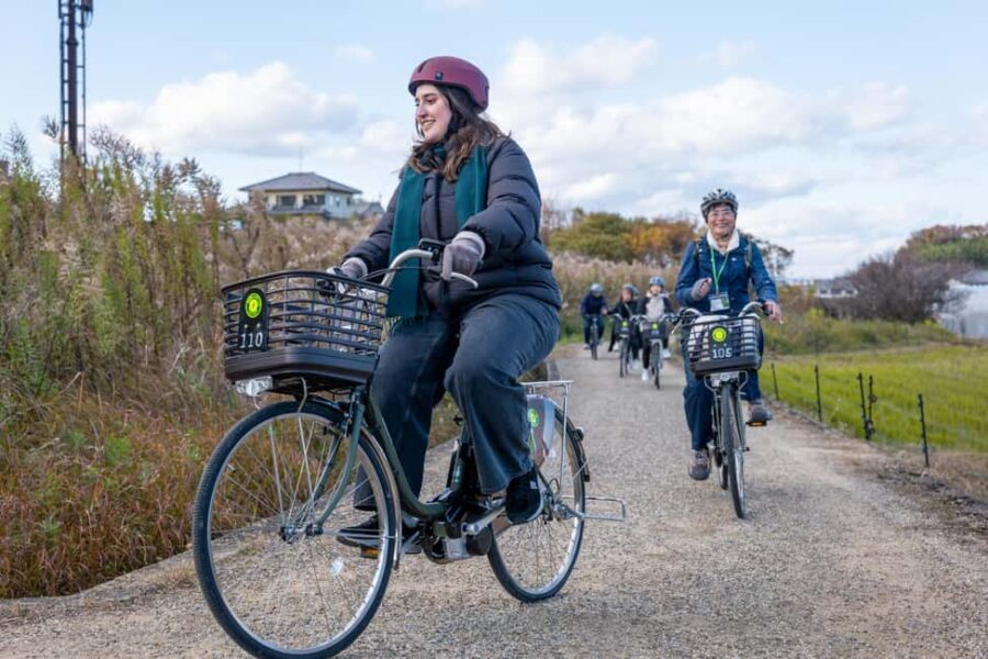 Asuka: Historical Cycling Tour with Guide and Bike Rental - Who Should Consider This Tour?