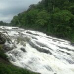 Athirappally & Vazhachal Waterfall Tour with Lunch - Who Should Consider This Tour?