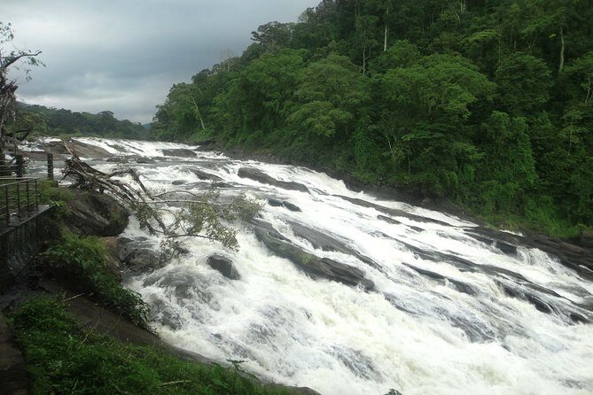 Athirappally & Vazhachal Waterfall Tour with Lunch - Who Should Consider This Tour?