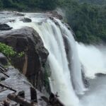 Athirappilly Waterfalls Day Trip from Kochi with Transfers - Who Will Enjoy This Tour?