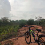 Auroville: Nature Trail Forest Cycling Adventure - A Closer Look at the Auroville Forest Cycling Adventure