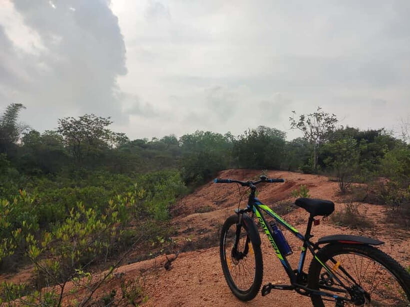 Auroville: Nature Trail Forest Cycling Adventure - A Closer Look at the Auroville Forest Cycling Adventure
