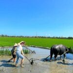 Authentic Hoi An: Explore Countryside with Locals - Why This Tour Works for Travelers