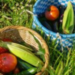 Authentic! Japanese Ramen Cooking Experience - Why This Tour Is a Great Choice