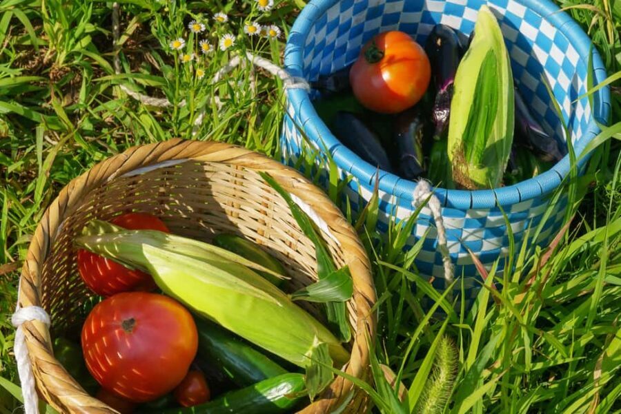 Authentic! Japanese Ramen Cooking Experience - Why This Tour Is a Great Choice