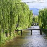 Authentic Kyoto Guided Tour With A History and Culture Expert - Why This Tour Offers Great Value