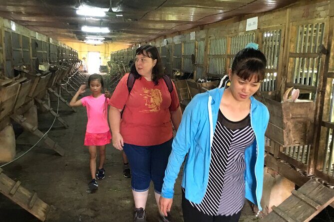 Authentic Vietnam Farming Full Day Small Group Tour - Analyzing the Value