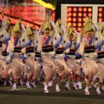 Awa Dance Festival & Otsuka Museum of Art Bus Day Tour from Osaka - Analyzing the Value