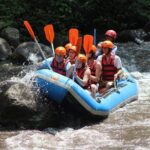 Ayung River Rafting Ticket And Transfer - Who Will Love This Tour?