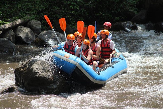 Ayung River Rafting Ticket And Transfer - Who Will Love This Tour?