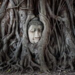 Ayutthaya Eco Friendly Bike Tour Famous Landmarks & Cultural Gems - Final Thoughts on the Experience