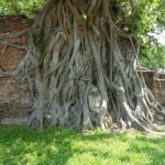 Ayutthaya Famous Temple & Scenic Boat Tour From Train Station - Who Will Love This Tour?
