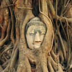Ayutthaya Sunset Discovery, Boat Ride, Noted Sights, Local Market - Authentic Experiences and Traveler Insights