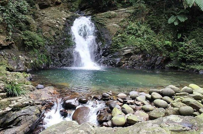 Bach Ma Park via Hai Van Pass Private Full-Day Trekking Tour - Authentic Experiences and Practical Insights
