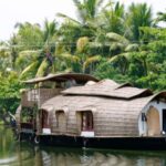 Backwater of Kerala Alleppey Houseboat Cruise Overnight Tour - Day 2: Morning Calm and Disembarkation