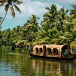 Backwater Village Life Tour from Kochi Country Boat: Local Lunch - Why This Tour Offers Real Value