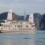 Bai Tu Long Bay Luxury Cruise 2D/1N: Visit Bai Tu Long bay & pristine places - What Makes This Tour Stand Out?
